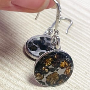 May include: Silver-tone earrings with a round, speckled design. The earrings feature a dark background with gold and black accents, set in a silver bezel. The earrings are shown close up.