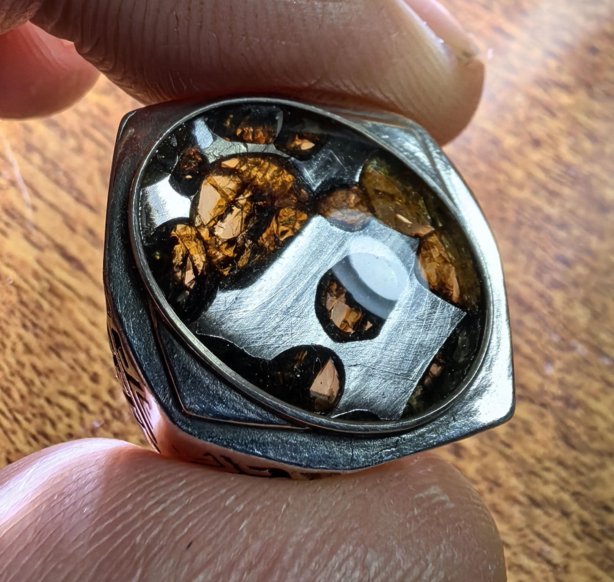 専用ページです。フカン隕石 FUKANG隕石 166g 訳あり 専用ページ