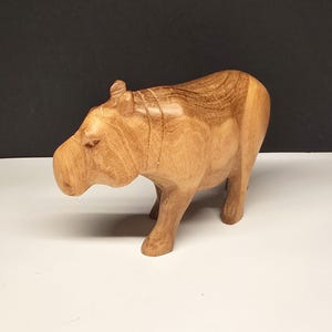 House Hippo Hand Carved Wood