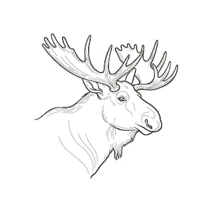 May include: A black and white line art illustration of a moose head in profile, featuring large, detailed antlers with multiple points, a prominent snout, and a small tuft of fur under the chin, rendered with clean, precise strokes on a white background.