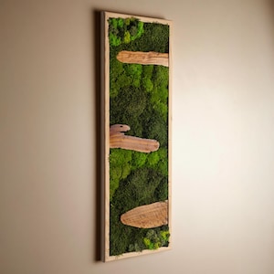 Handcrafted Moss and Olive Wood Wall Art, Moss Wall Decor, Preserved Stabilized Moss, Housewarming Gifts, Farmhouse Decor, Living Room Decor