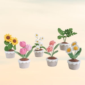 Bundel 6in1 bloemen elegantie pot haakpatronen, haakpatroon bloempot, haakpatroon cadeau, amigurumi haakpatroon