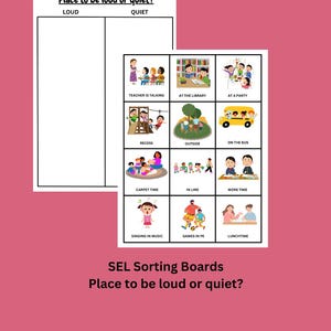 SEL Sorting Boards and Labeled Picture Cards,  Special Education Classroom Activity, SpEd Teaching Materials, Inclusive Ed Table Work