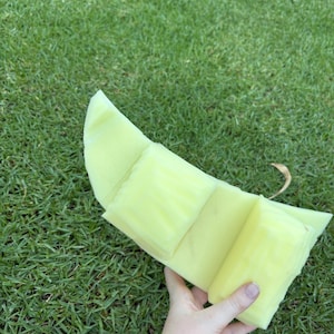 Fursuit tail base