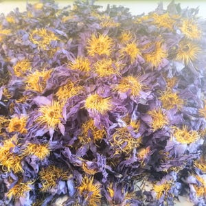 4lbs(1.8kg) 100% Organic Egyptian Blue Lotus Flowers, Nymphaea caerulea Sacred water lotus, Sacred Lotus, Sacred Water Lily