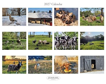 Op de afbeelding: Een kalender voor 2027 met twaalf verschillende foto's van boerderijdieren, waaronder schapen, kuikens en een kalkoen, in seizoensgebonden landschappen. De titel 2027 Calendar staat bovenaan en het Red Rope Farm logo onderaan.