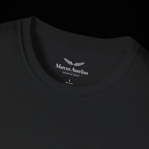 Stoic Discipline T-Shirt, Bodybuilder Statue Tee, Classical Motivation Streetwear, Self Mastery Gift, Unisex Cotton Tee image 4