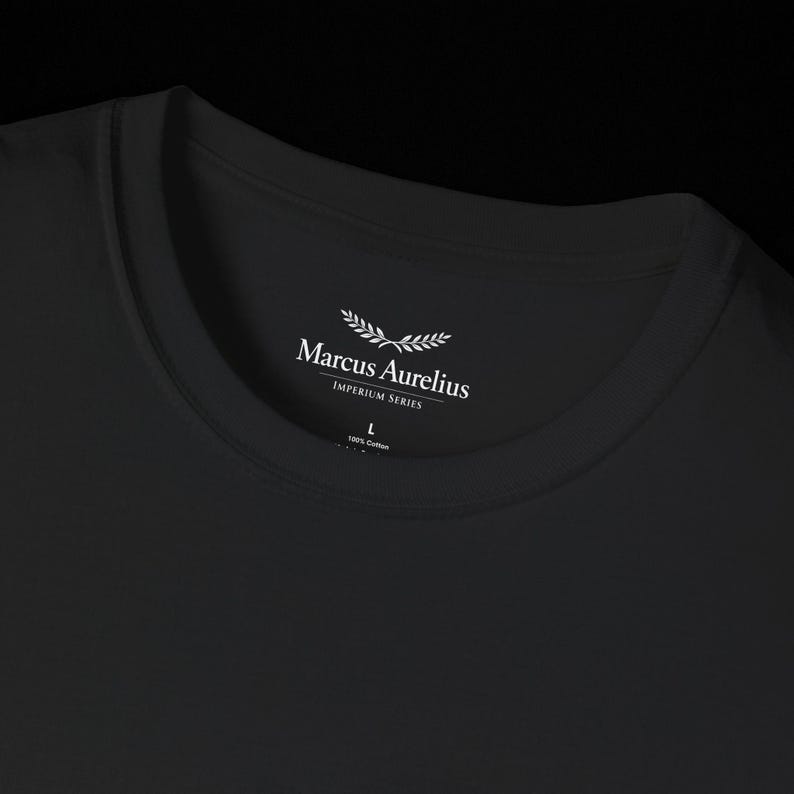 Stoic Discipline T-Shirt, Bodybuilder Statue Tee, Classical Motivation Streetwear, Self Mastery Gift, Unisex Cotton Tee image 4