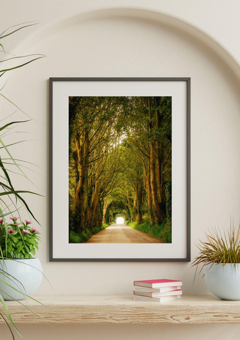 May include: A framed photograph of a road lined with trees, creating a tunnel effect. The road leads to a bright light at the end of the tunnel.