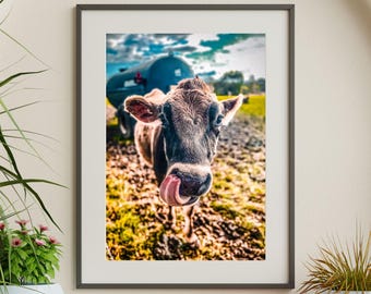 Funny Jersey Cow Print: Quirky Farmhouse Wall Art
