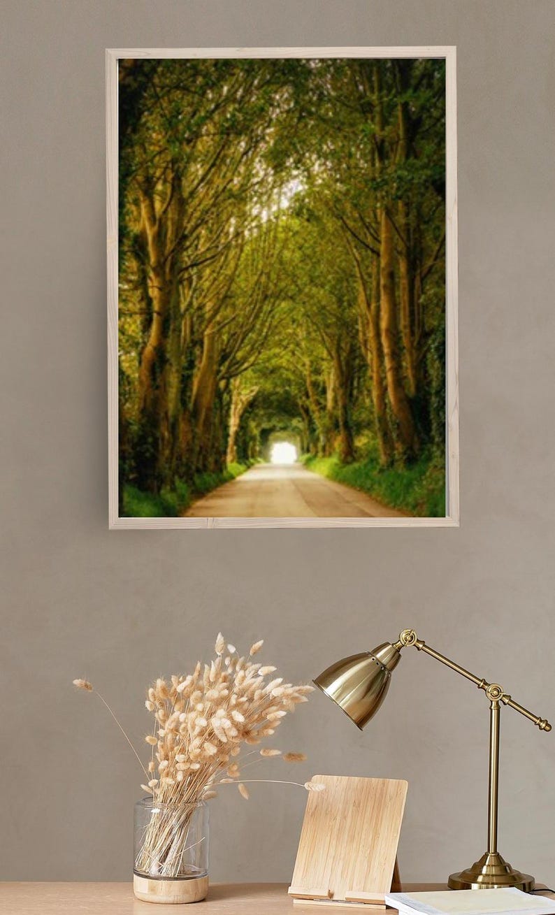 May include: A framed photograph of a road lined with trees, creating a tunnel effect. The road leads to a bright light at the end of the tunnel. The trees are green and lush, and the road is paved.