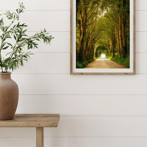 May include: A framed photograph of a road lined with trees, creating a tunnel effect. The road leads to a bright light at the end of the tunnel. The photograph is hanging on a white wall above a wooden table.