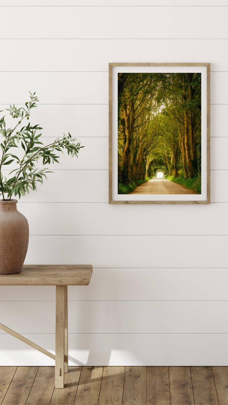May include: A framed photograph of a road lined with trees, creating a tunnel effect. The road leads to a bright light at the end of the tunnel. The photograph is hanging on a white wall above a wooden table.