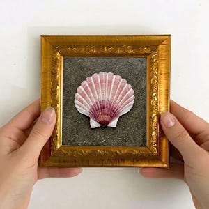 Könnte beinhalten: Ein gerahmtes Muschelbild. Der goldfarbene Rahmen umgibt einen strukturierten, dunkelgrauen Hintergrund. Die Muschel ist weiß mit rosa und violetten Farbtönen. Der Rahmen wird von zwei Händen gehalten.