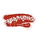 FaeBrushCo store logo