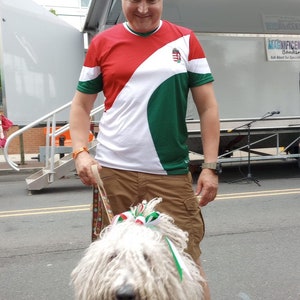 Hungary Sport Jersey Fan Focimez Recycled unisex soccer jersey