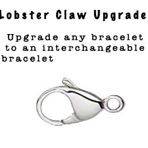 Lobster Claw Upgrade, Turn our Medical ID Bracelets to an Interchangeable Strand image 1