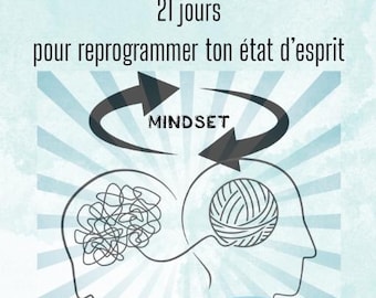 The Mental Switch: 21 Days to Reprogram Your Mindset: A Complete Ebook Guide to the Abundance Mindset