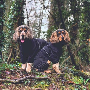 Waterproof Dog Jacket | Raincoat for Large Dogs & Small Breeds | Lightweight Pet Coat