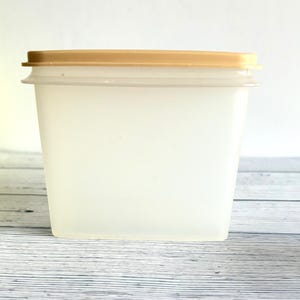 May include: A rectangular, translucent plastic container with a tan lid. The container has a slightly textured surface and a simple, functional design. The lid fits snugly on top, creating a seal. This storage container is suitable for kitchen or pantry organization.