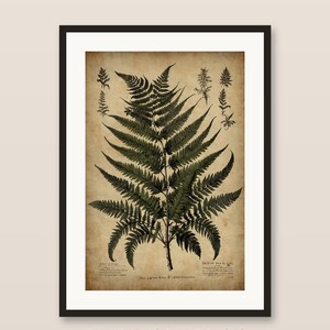 Botaniczny wydruk z motywem paproci w stylu vintage, sztuka ścienna z zielenią (do pobrania w wersji cyfrowej)