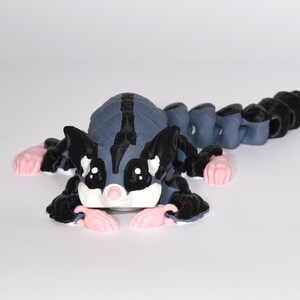 3D Sugar Glider, Australian animals, Cute Sugar Glider, Articulated model, 3d Fidget Toy.