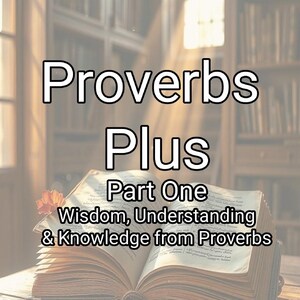 May include: An open book with visible text on its pages, featuring the title Proverbs Plus Part One Wisdom, Understanding & Knowledge from Proverbs in bold black lettering centered over the open pages against a blurred library background.