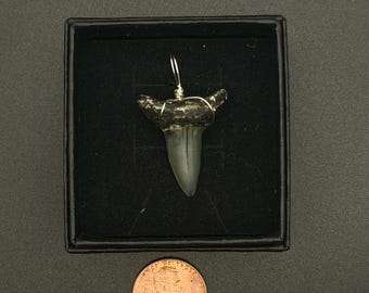 Mako Shark Tooth Pendant Wire Wrapped with Silver