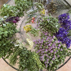 Dried Herbs or Flowers in a Bunch or Trial/Sample Size1-3 Stems of Different Botanicals image 1