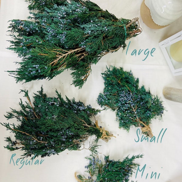 Preserved Greenery Etsy