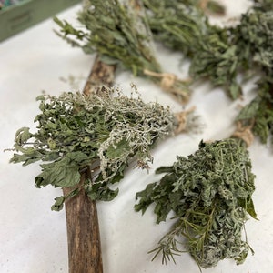 Dried Herbal Bundle Variety Herbs Amherst County, VA image 1