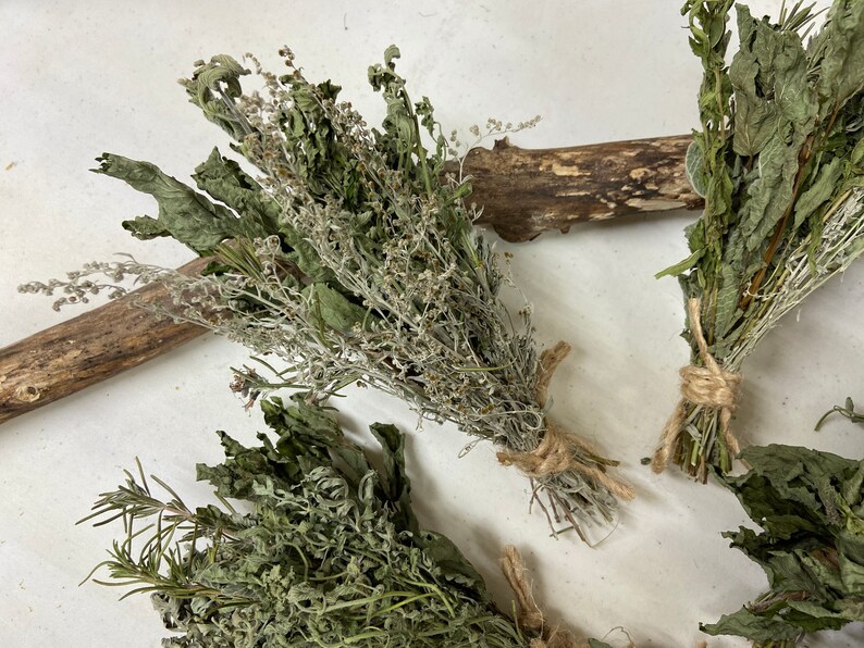 Dried Herbal Bundle Variety Herbs Amherst County, VA image 6