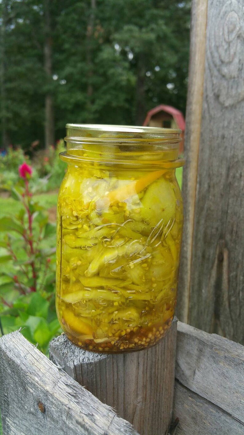 Garlic Dill Heirloom Green Tomato pickles Pint jar Etsy