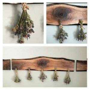 Dried Herbs or Flowers in a Bunch or Trial/Sample Size1-3 Stems of Different Botanicals image 6