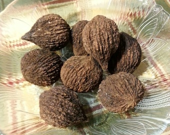 Hulled Amherst VA Whole Black Walnuts*One Pound