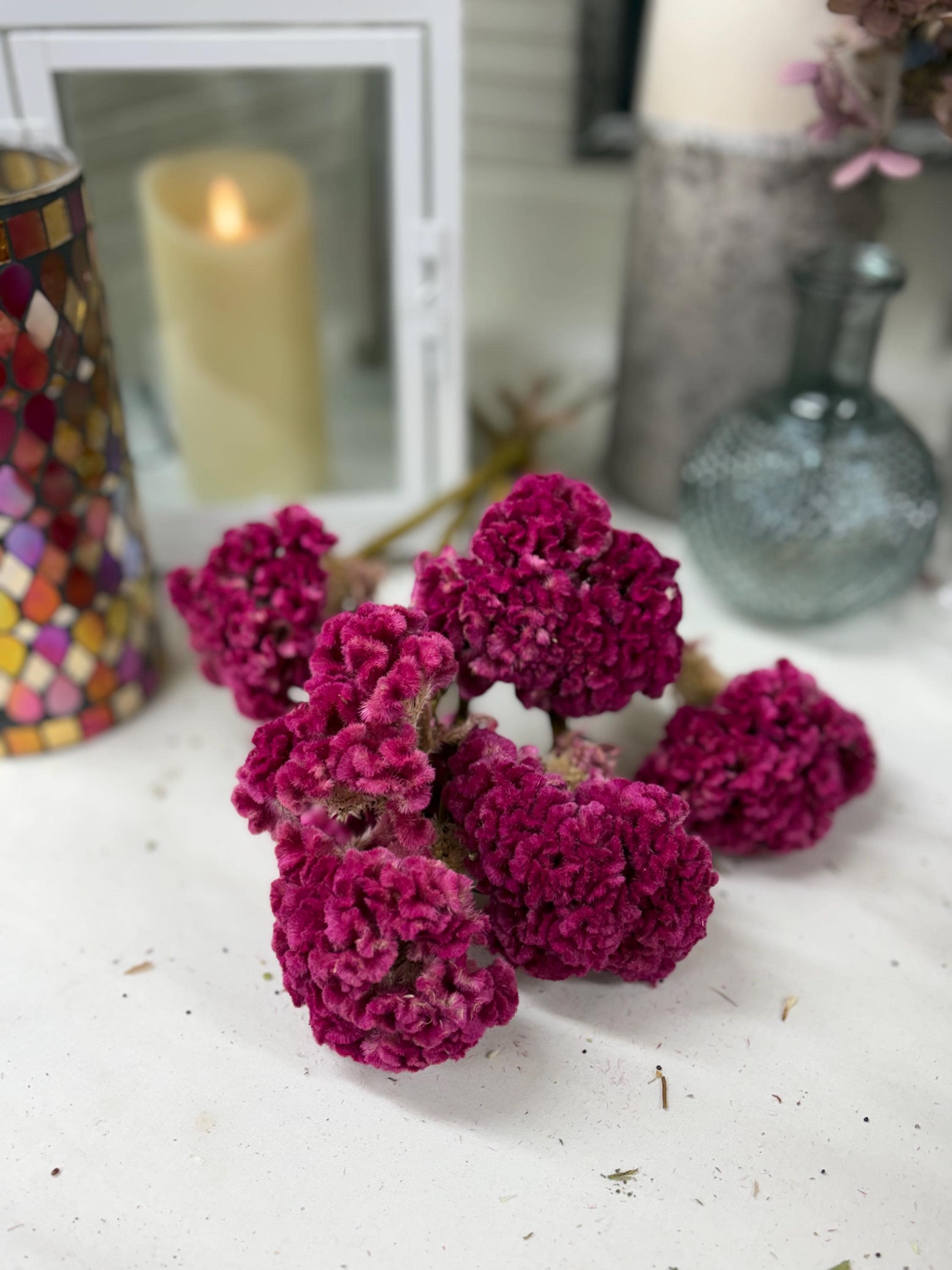 Bunch of Dried Cockscomb, You Choose Color: Wedding and Home Decor - Etsy