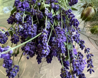 Bunch of Dried Lavender