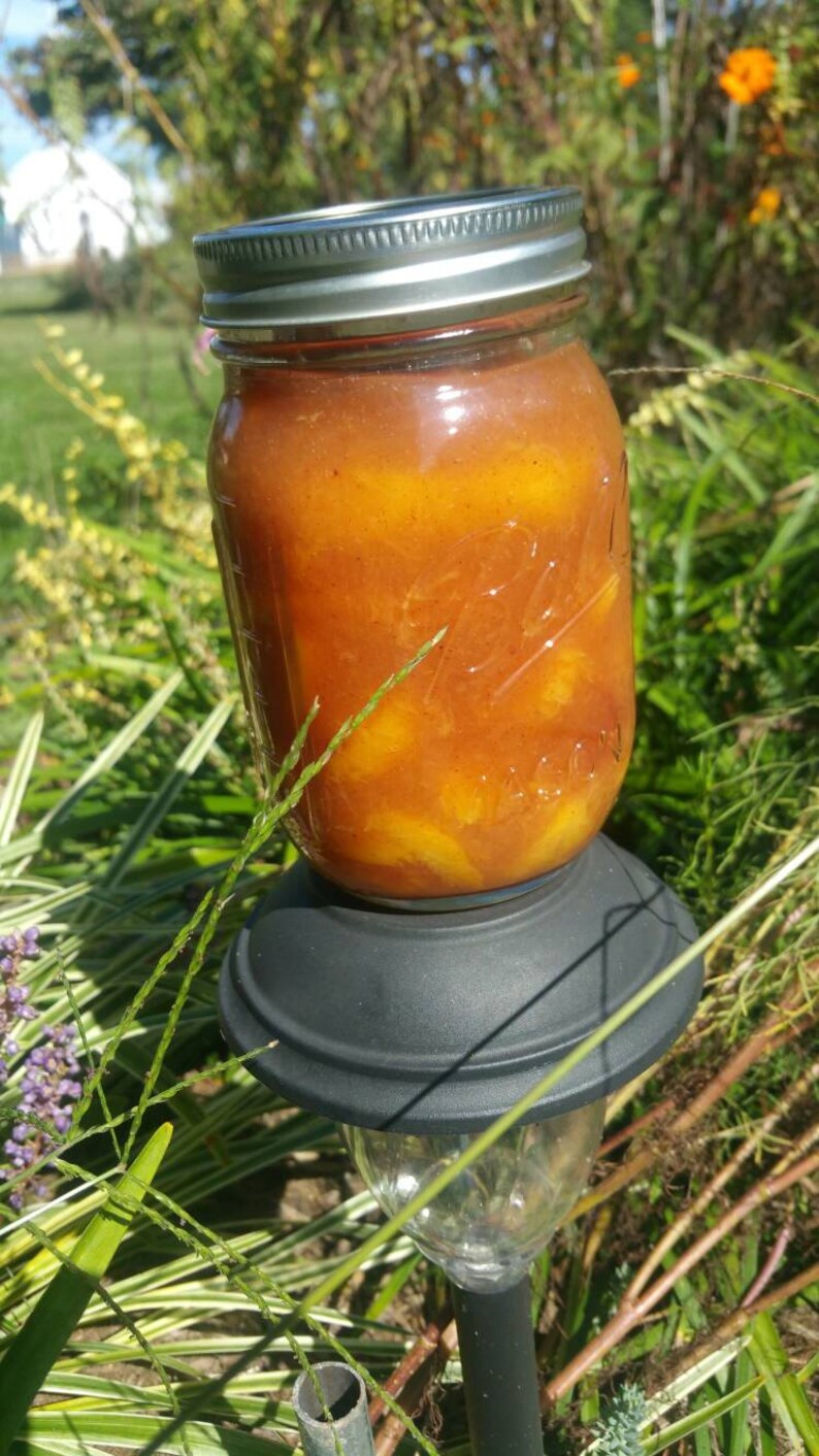 Spiced Peach Pie Filling Sugar Free-Pint Jar | Etsy