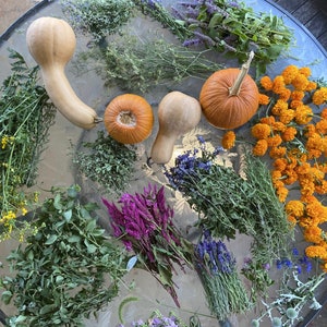 Dried Herbs or Flowers in a Bunch or Trial/Sample Size1-3 Stems of Different Botanicals image 10