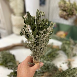 Dried Herbal Bundle Variety Herbs Amherst County, VA image 7