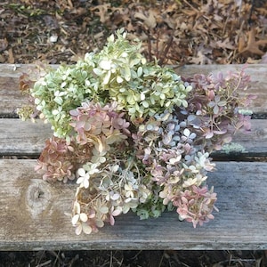 Dried Hydrangea Medium to Small Blooms *You choose Color