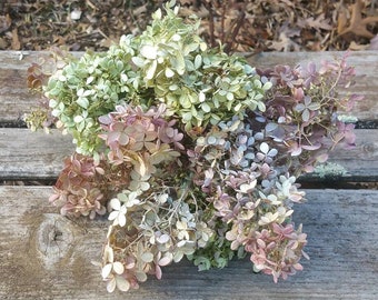 Dried Hydrangea Medium to Large  Blooms *You choose Color