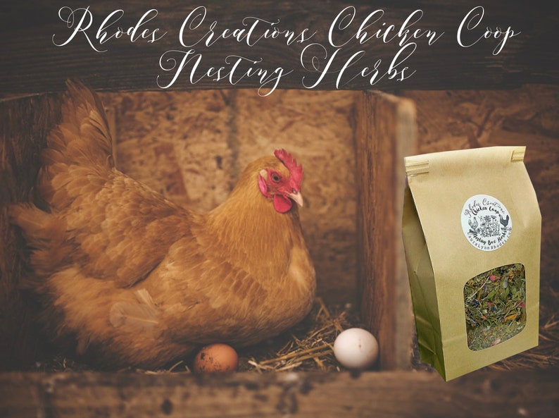 Chicken Coop Nesting Box Herbs Aromatic Herbs for your Flock image 1