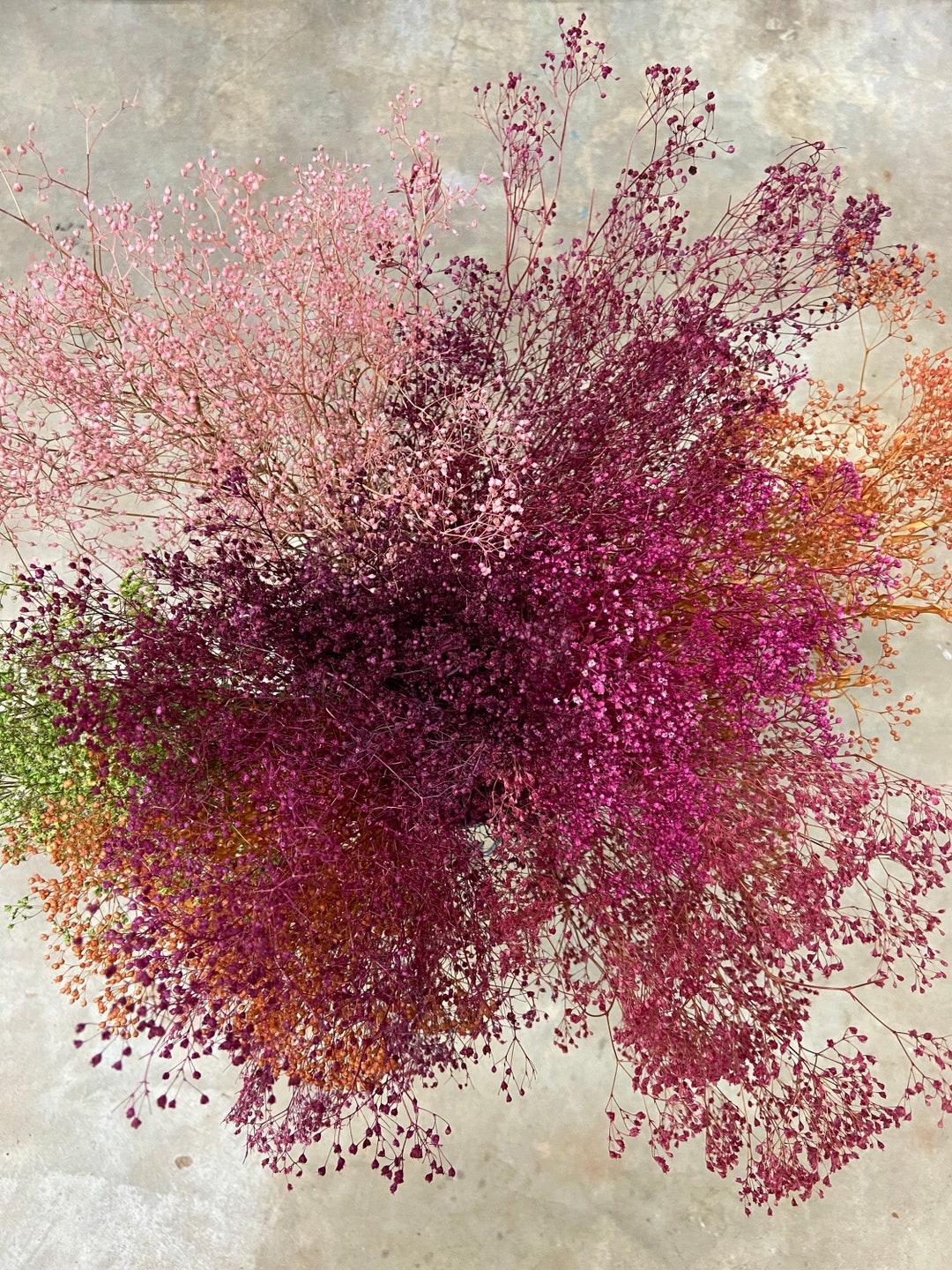 Bunch of Mini Gyp You Choose Color and Size Dried Floral Filler Etsy