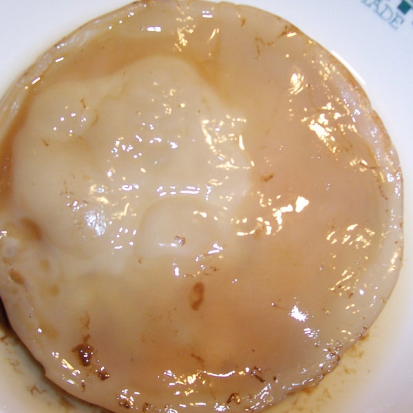 Kombucha Tea Scoby*Mother*with Starter Tea-Quart or Gallon