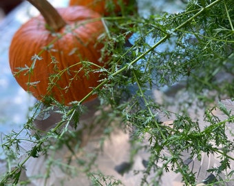 Air Dried Bunch Sweet Annie/Sweet Wormwood (Artemisia annua) - Home Decor -Amherst, Va - All Natural