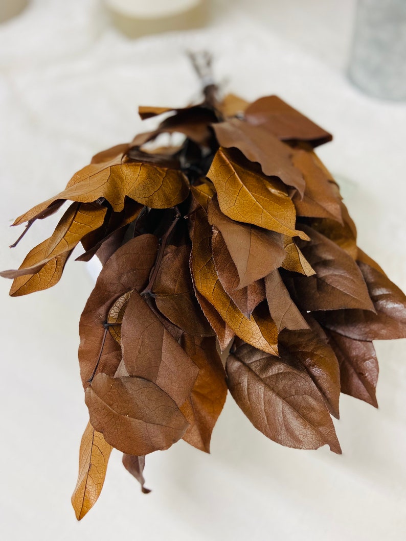 Preserved Salal Lemon Leaf Large Bunch, Home Decor You choose color brown copper