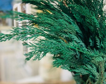 Preserved Cedar Branch*Seasonal Fragrant Home Decor