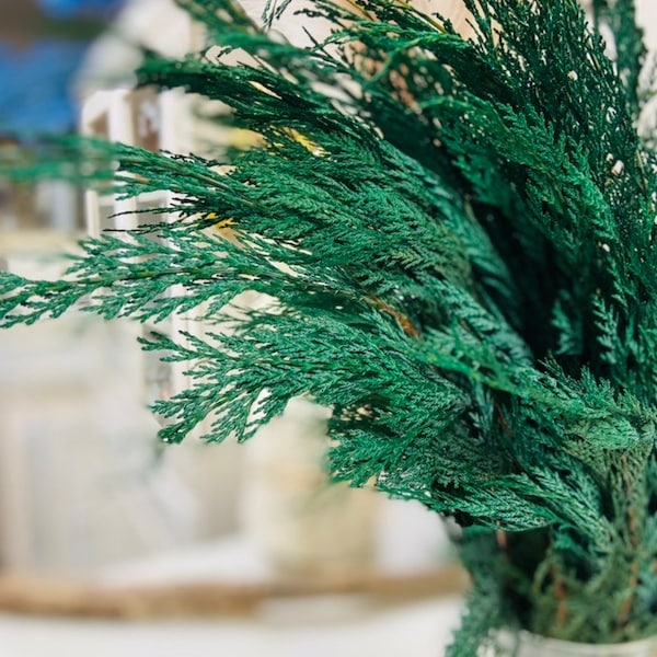 Preserved Cedar Branch*Seasonal Fragrant Home Decor