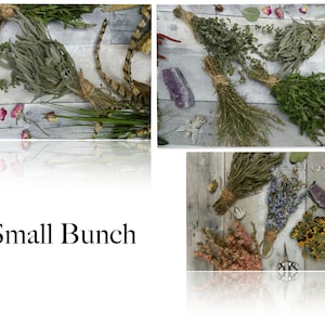 Dried Herbs or Flowers in a Bunch or Trial/Sample Size1-3 Stems of Different Botanicals image 5